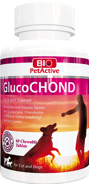 Bio Petactive: GlucoCHOND Hip & Joint Support Supplement for Dogs and Cats - Chewable Tablets